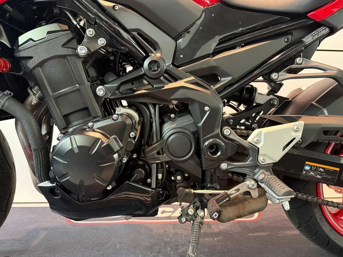Kawasaki Z 900 50th Anniversary (2022 - 23) (13)