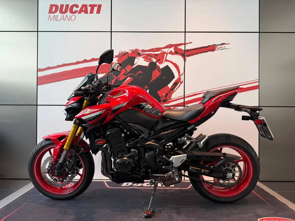 Kawasaki Z 900 50th Anniversary (2022 - 23) (15)