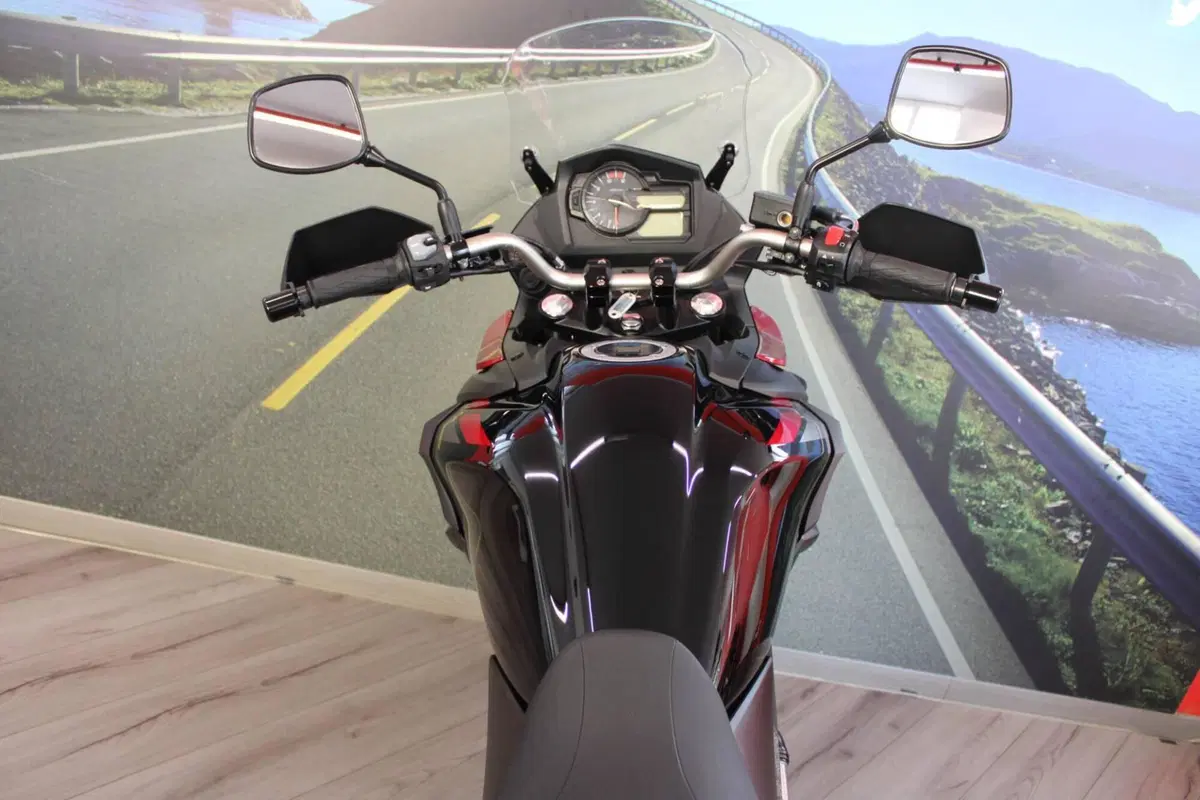 Suzuki V-Strom 650 (2021 - 25) (19)