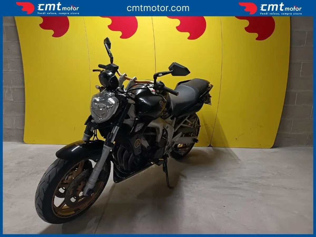 Yamaha FZ6 (2004 - 07) (2)