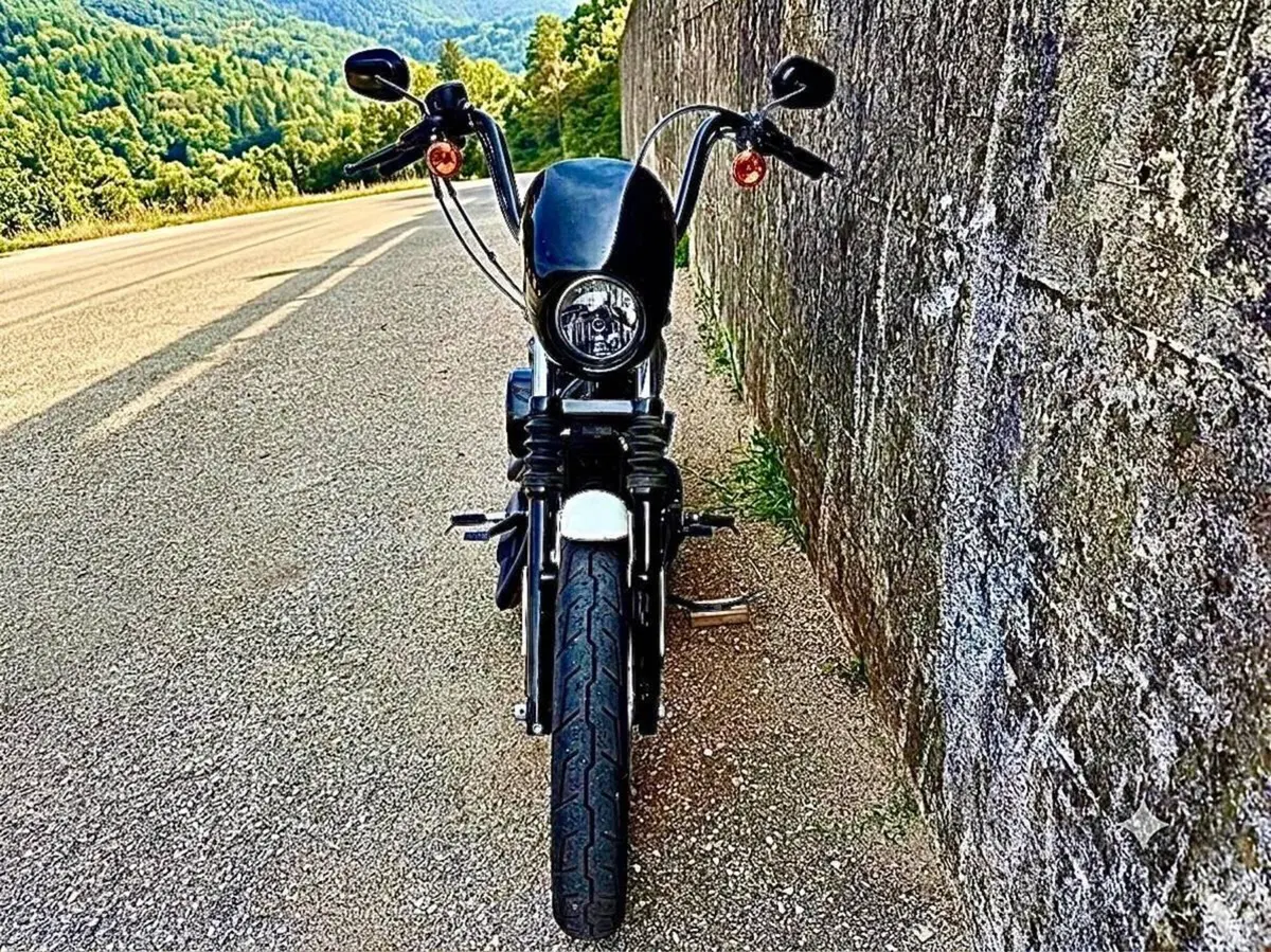 Harley-Davidson 1200 Iron (2018 - 20) - XL1200N (3)