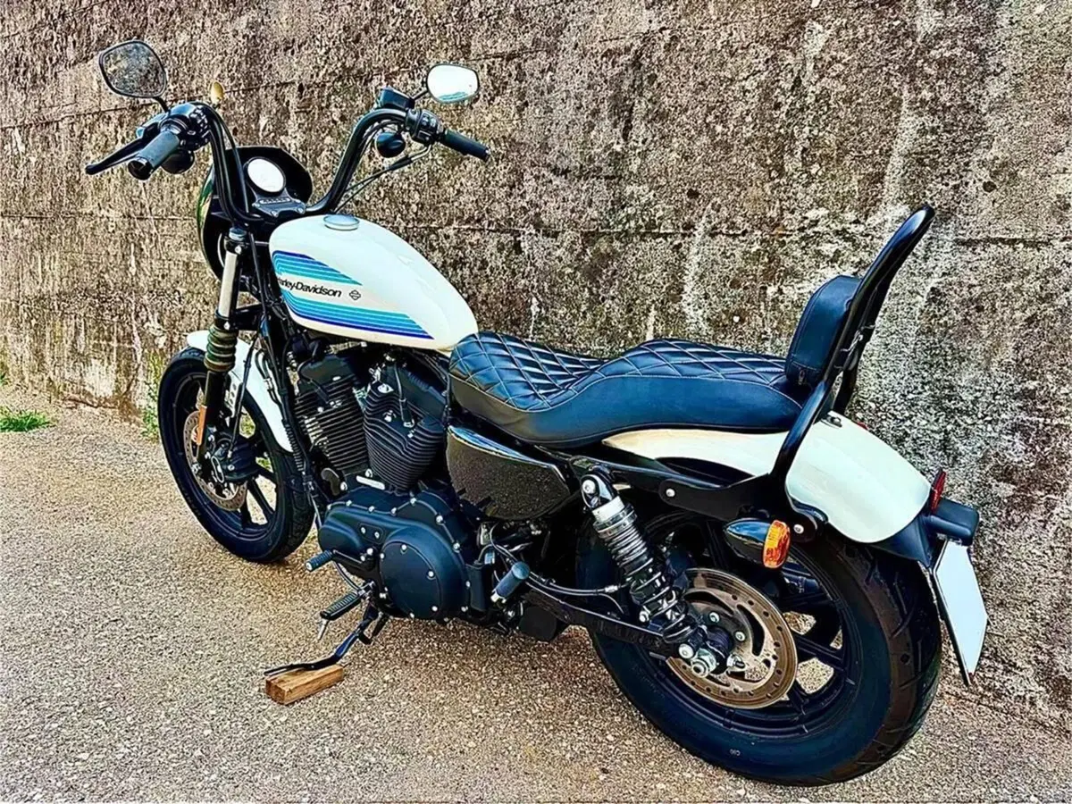 Harley-Davidson 1200 Iron (2018 - 20) - XL1200N (6)