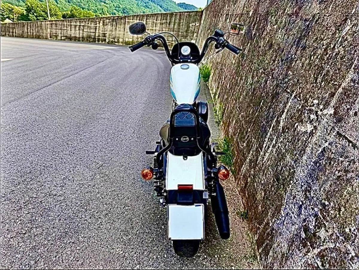 Harley-Davidson 1200 Iron (2018 - 20) - XL1200N (7)