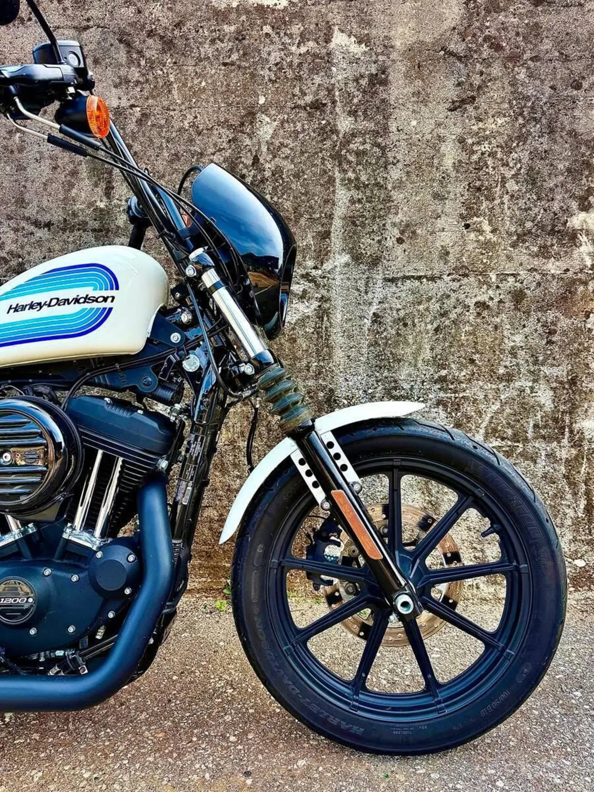 Harley-Davidson 1200 Iron (2018 - 20) - XL1200N (11)