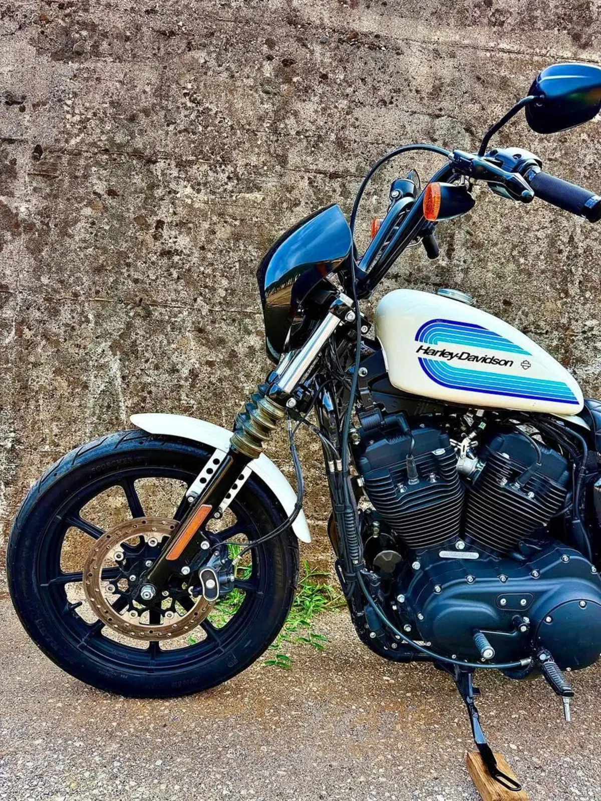 Harley-Davidson 1200 Iron (2018 - 20) - XL1200N (12)