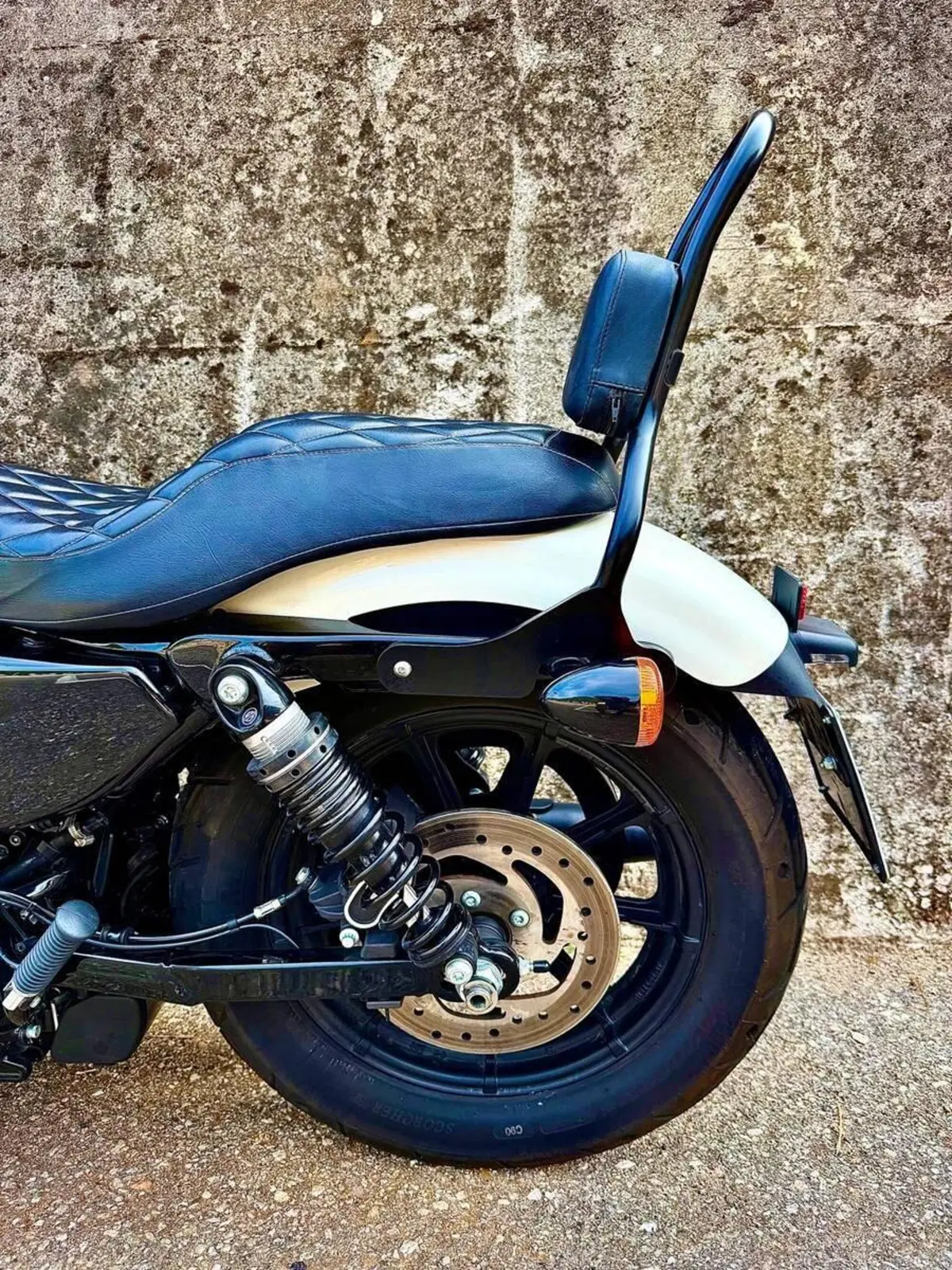 Harley-Davidson 1200 Iron (2018 - 20) - XL1200N (14)