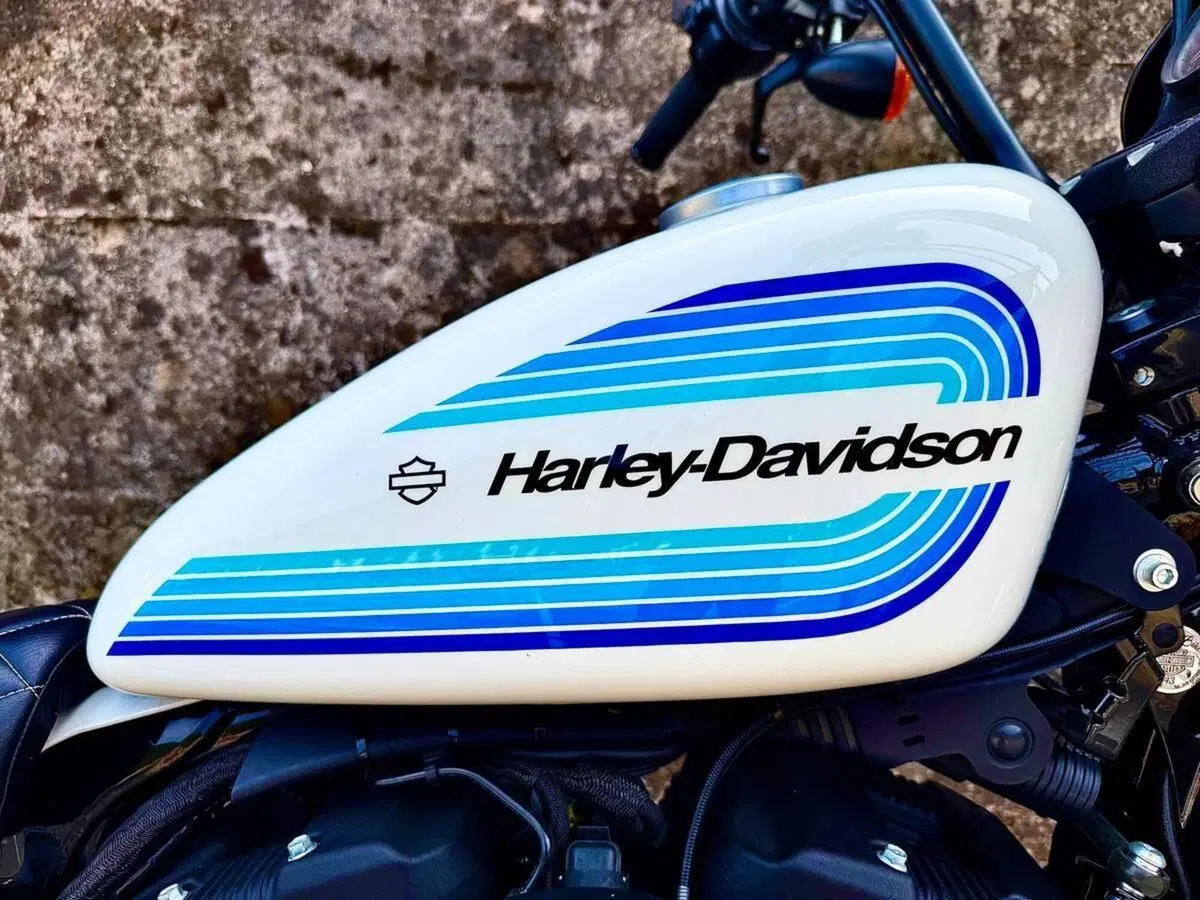 Harley-Davidson 1200 Iron (2018 - 20) - XL1200N (15)