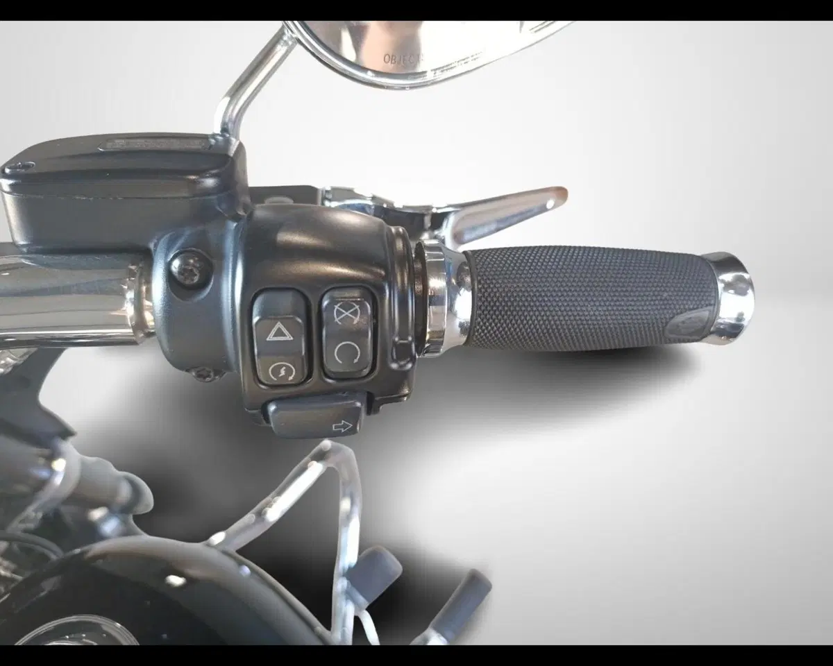 Harley-Davidson 107 Sport Glide (2018 - 20) (11)