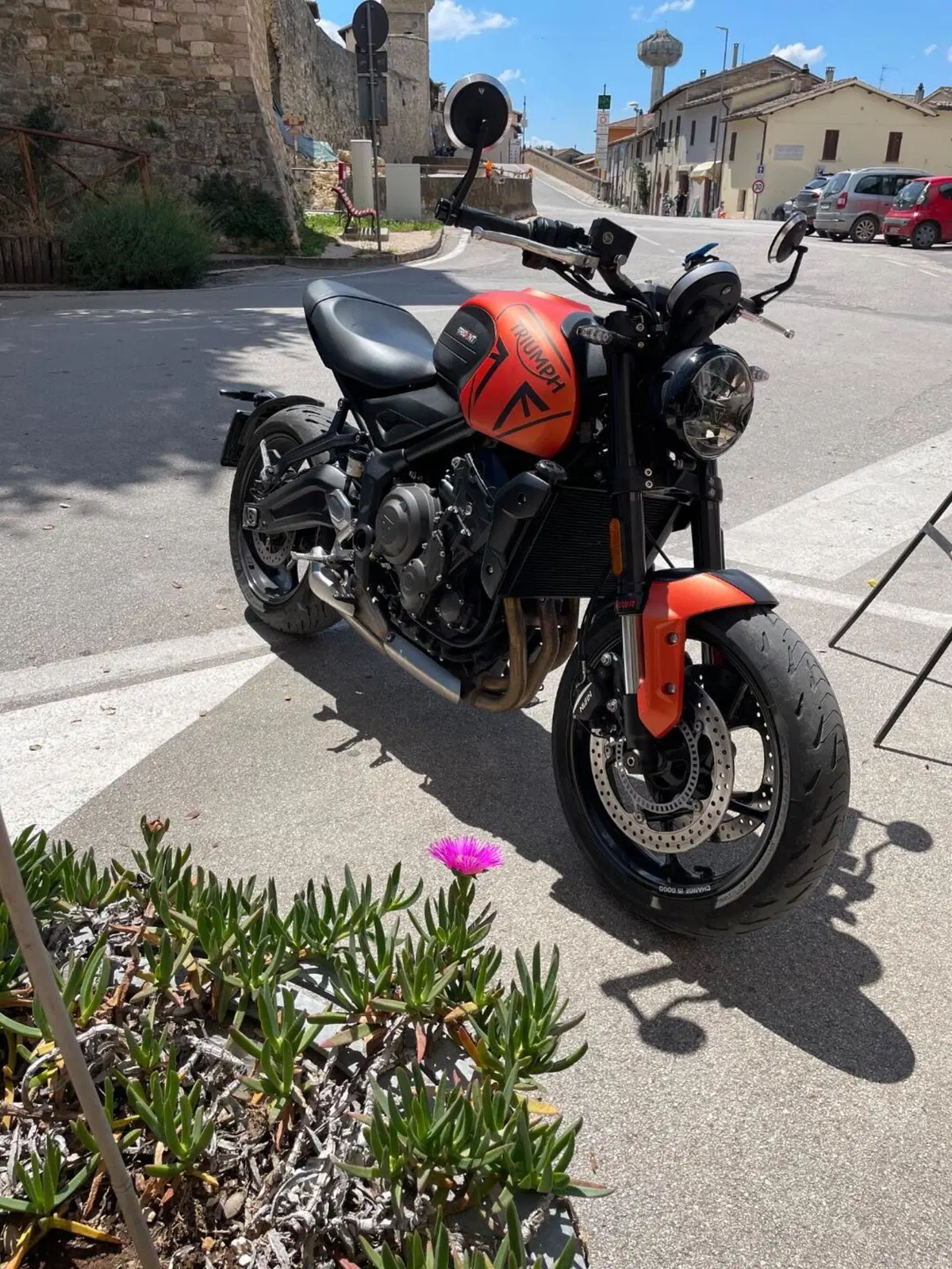 Triumph Trident 660 (2021 - 24) (6)