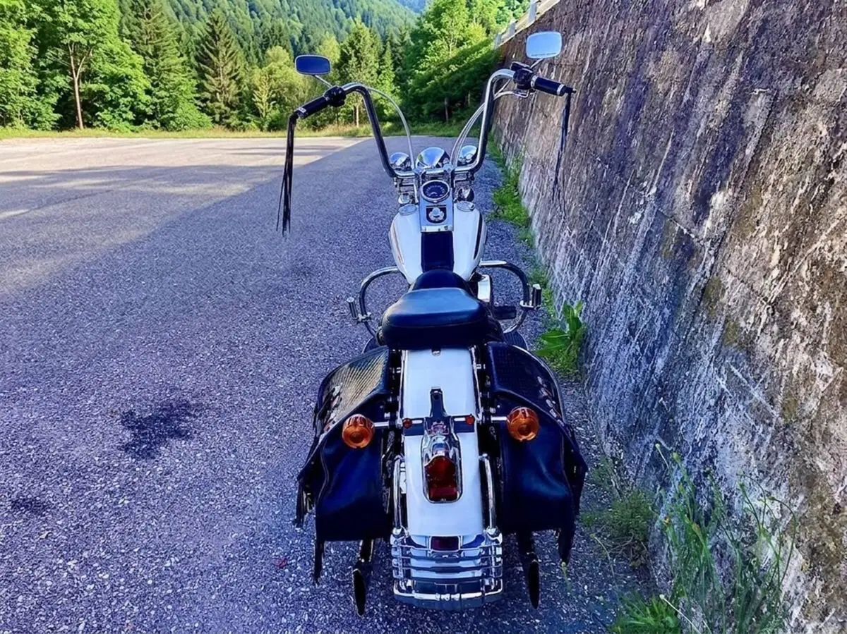 Harley-Davidson 1340 Heritage Springer (1997 - 99) - FLSTS (7)