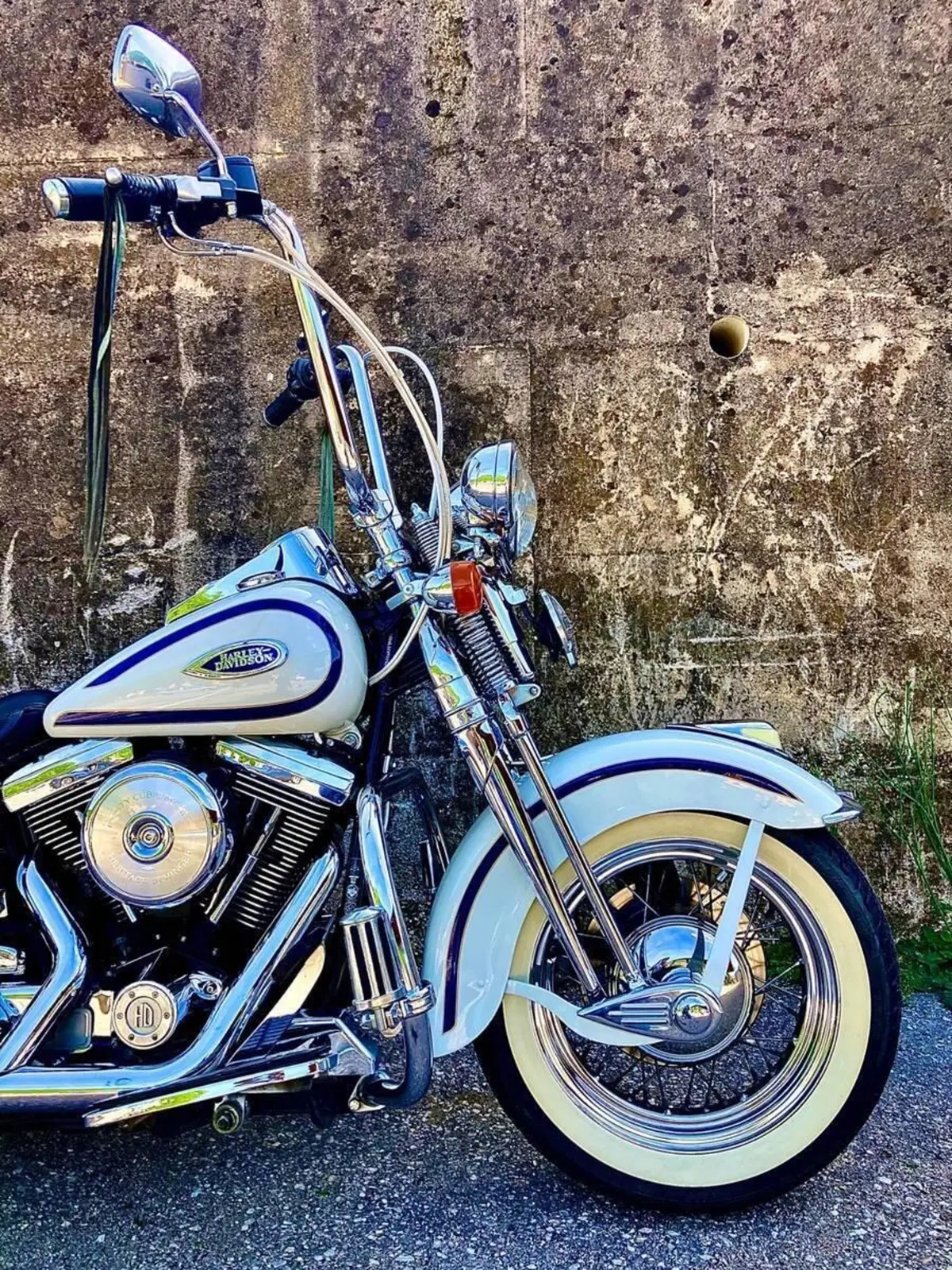 Harley-Davidson 1340 Heritage Springer (1997 - 99) - FLSTS (11)