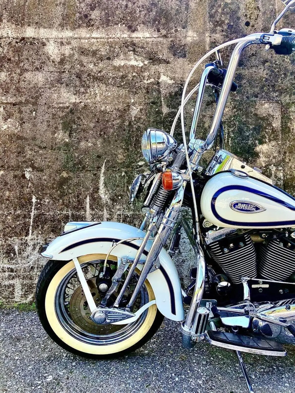 Harley-Davidson 1340 Heritage Springer (1997 - 99) - FLSTS (12)