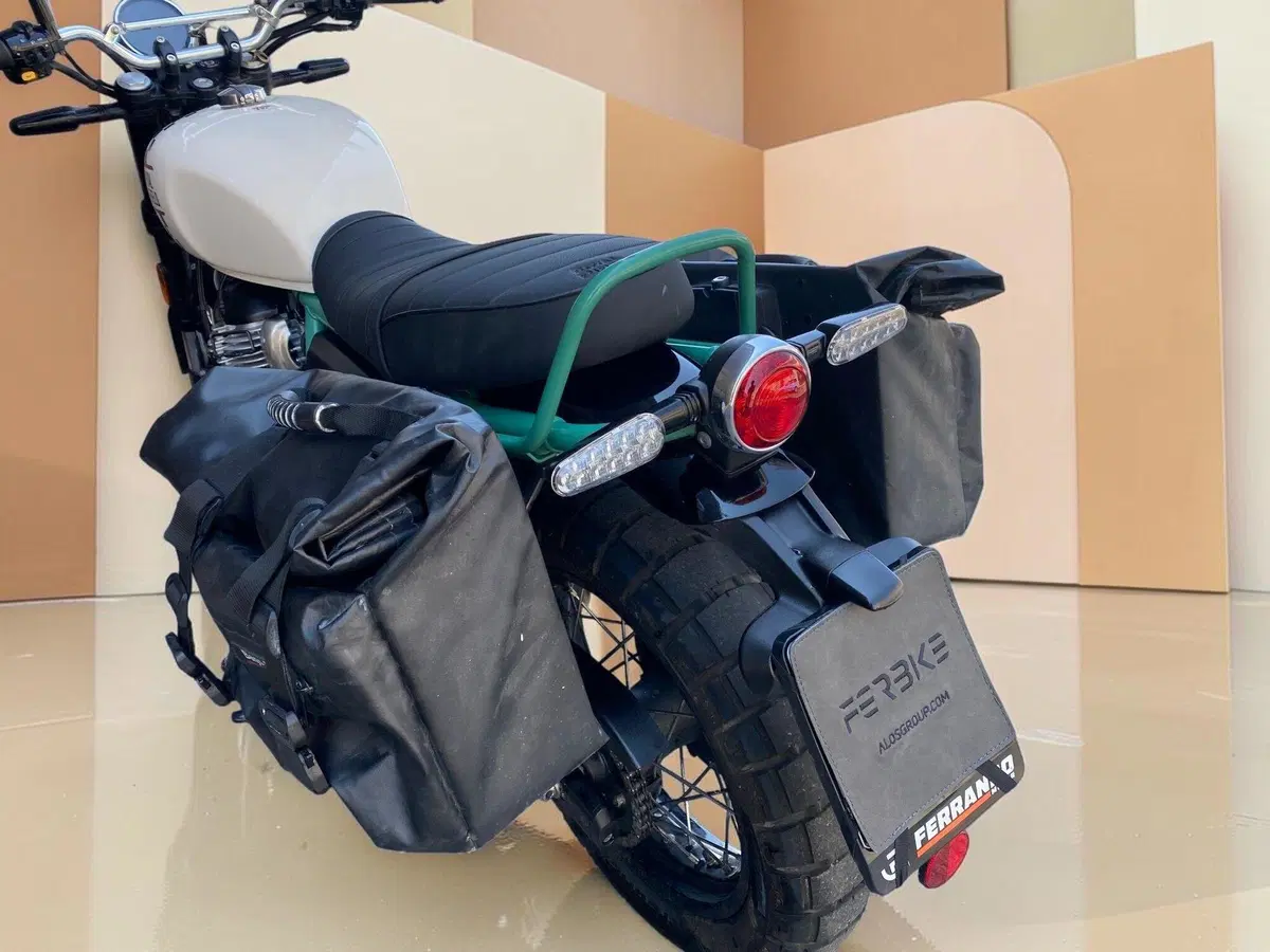 Royal Enfield Bear 650 (2025 - 26) (3)