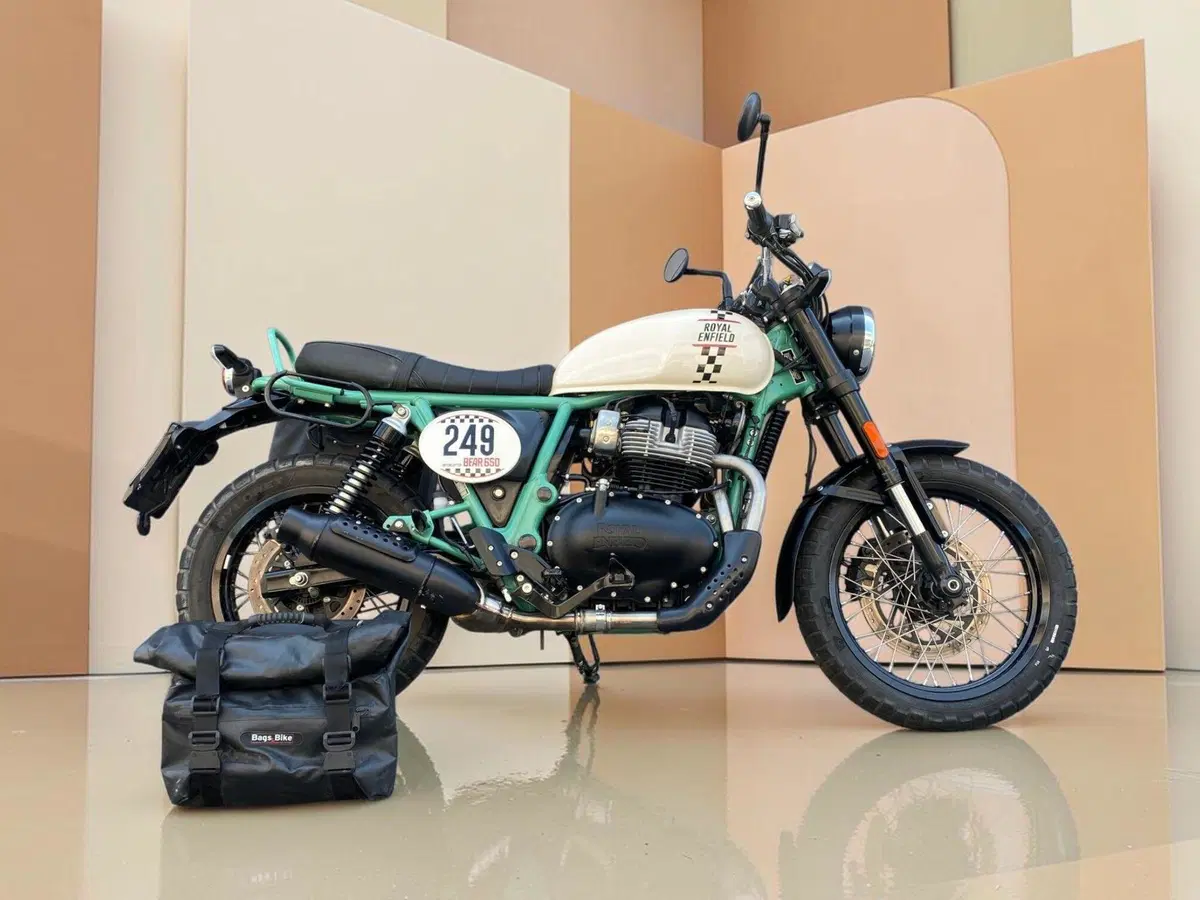 Royal Enfield Bear 650 (2025 - 26) (8)