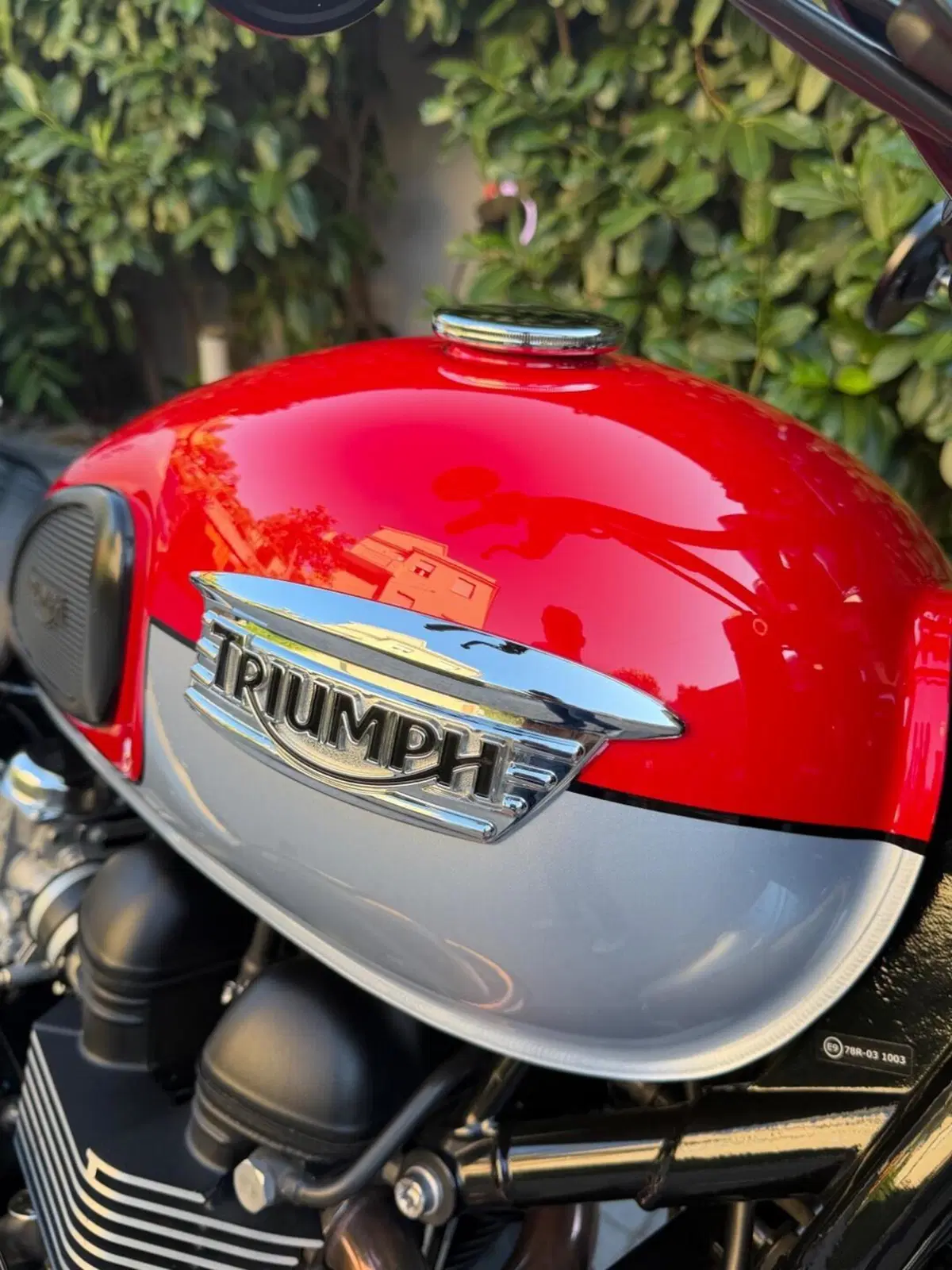 Triumph Scrambler (2006 - 17) (4)