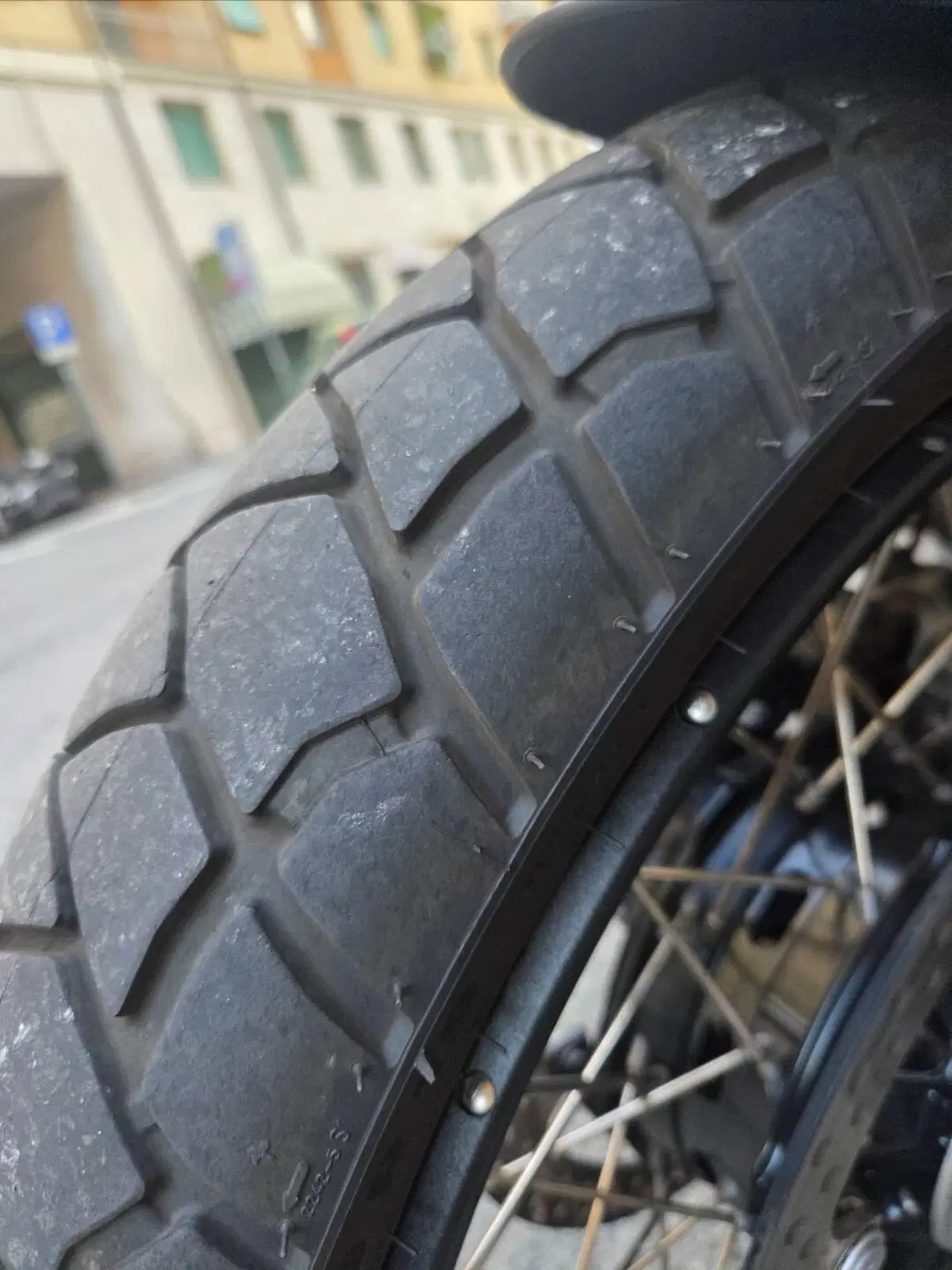 Bmw R 1300 GS Adventure Trophy (2025 - 26)