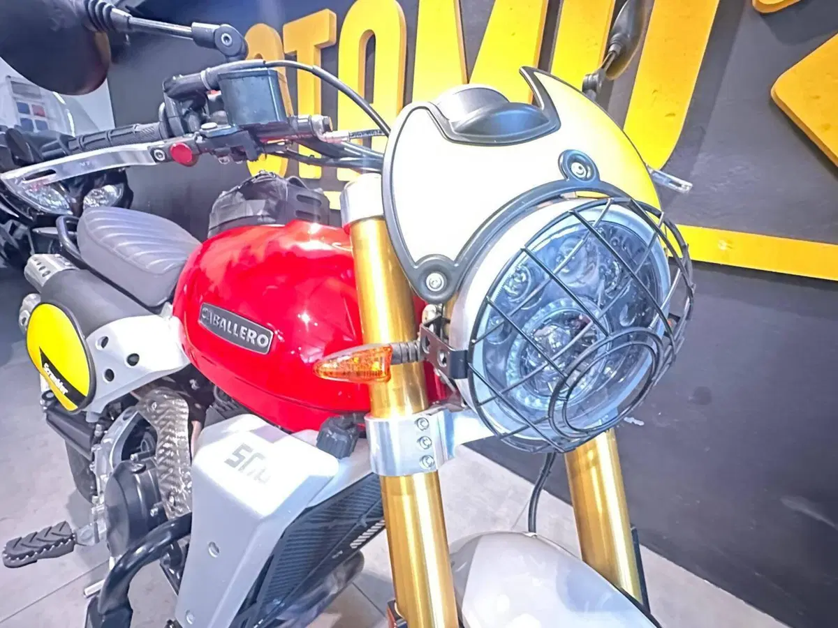 Fantic Motor Caballero 500 Anniversary (2020 - 21) (4)