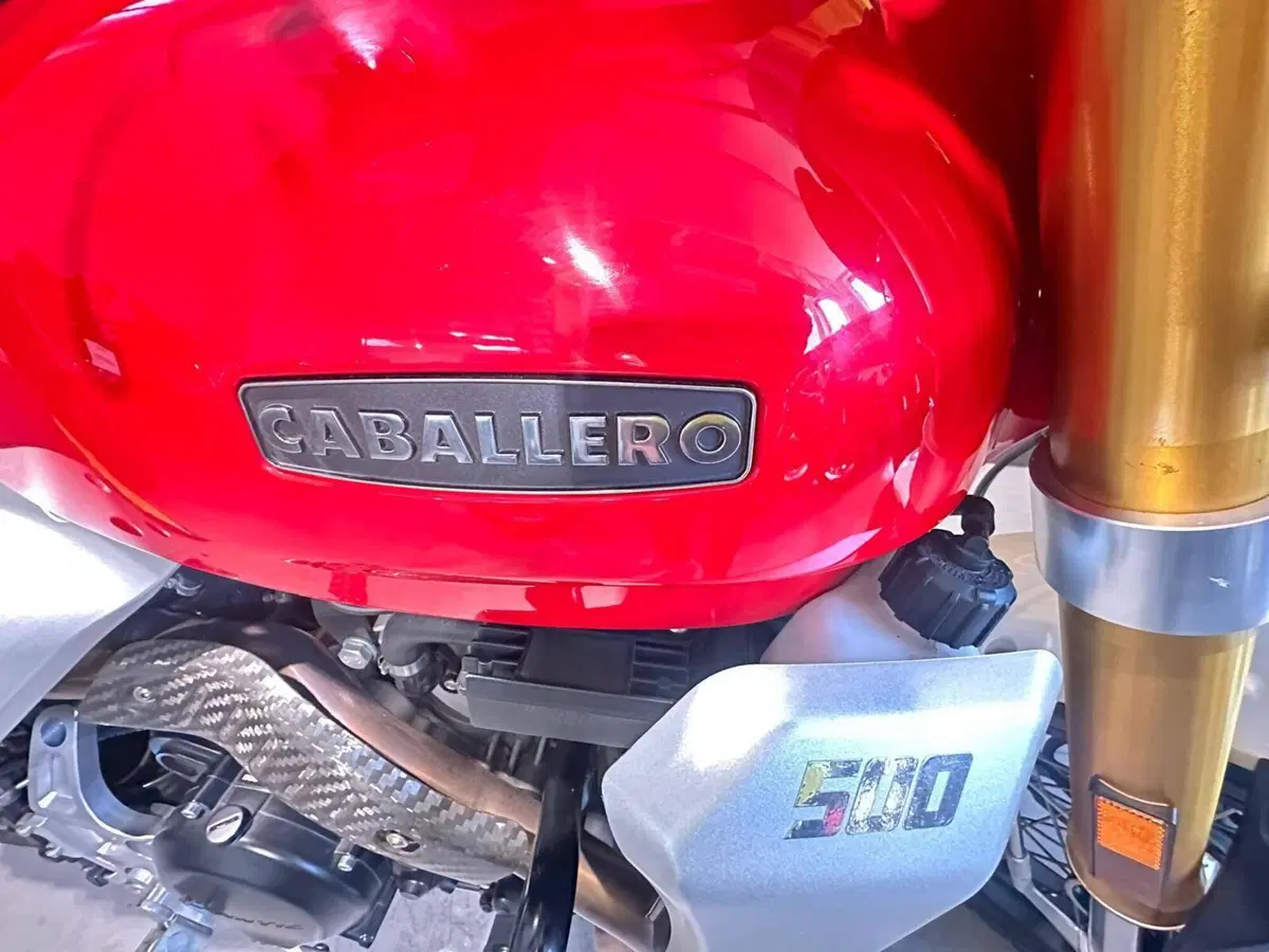 Fantic Motor Caballero 500 Anniversary (2020 - 21) (9)