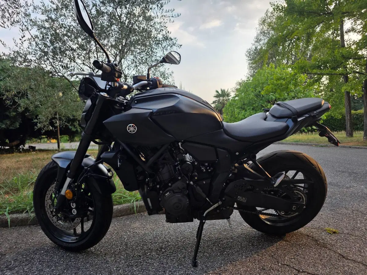 Yamaha MT-07 (2025 - 26) (11)