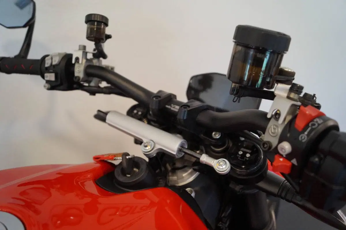 Ducati Streetfighter V2 (2022 - 24) (11)
