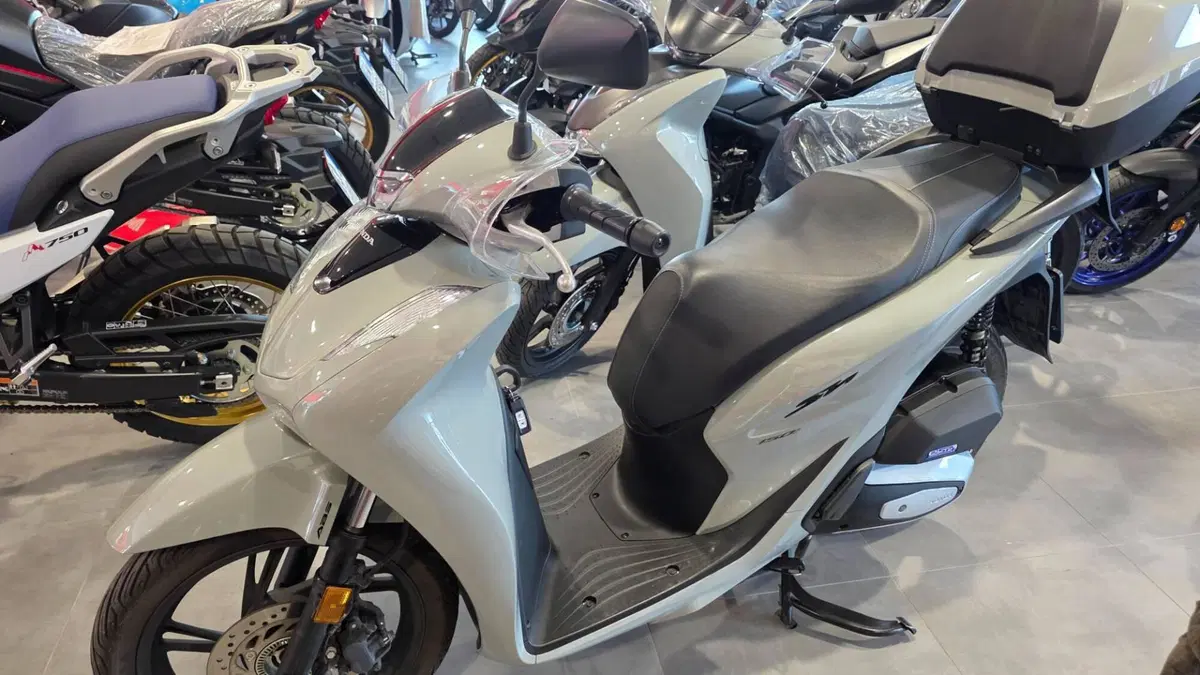 Honda SH 150i (2024 - 25)