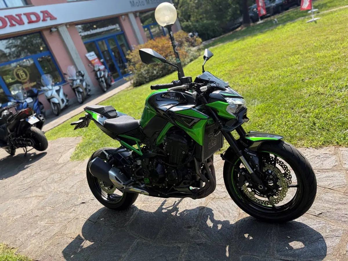 Kawasaki Z 900 (2021 - 24) (4)