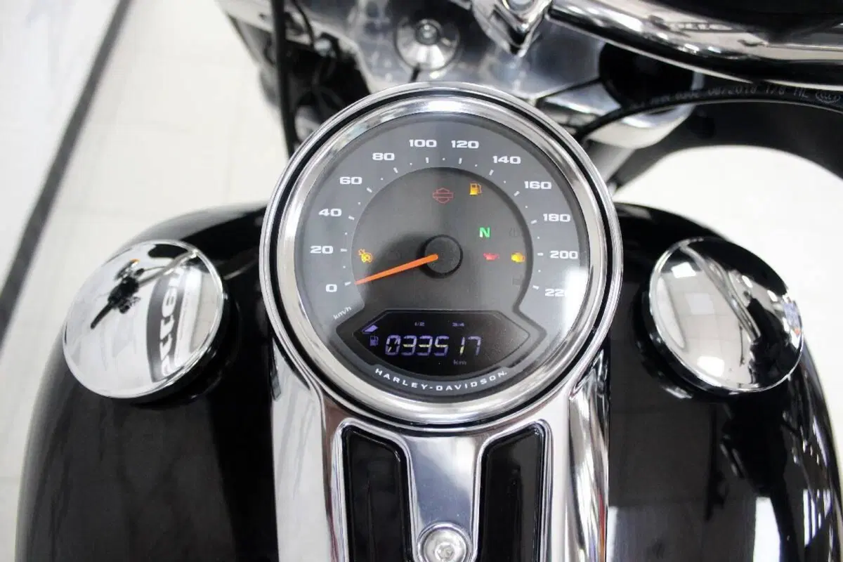 Harley-Davidson 107 Sport Glide (2018 - 20) (7)