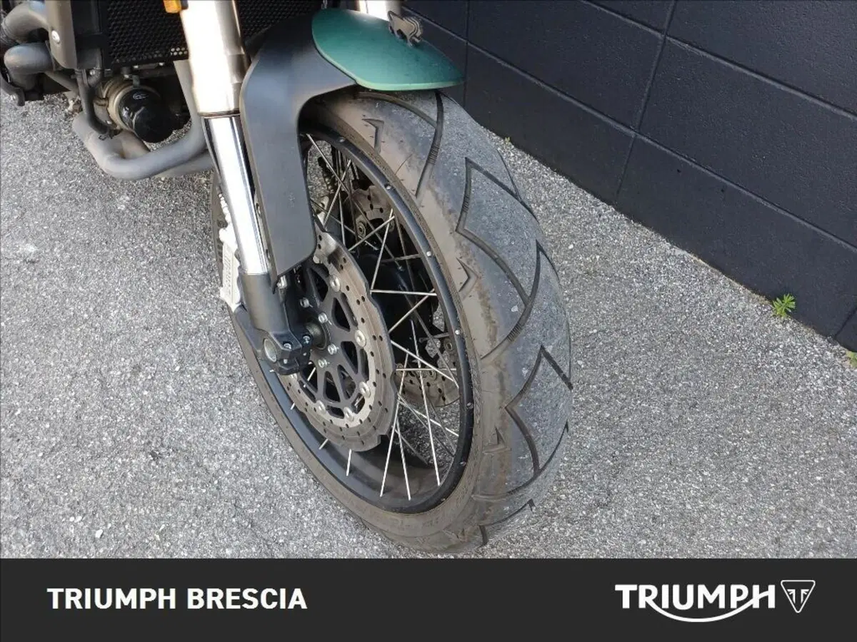 Benelli Leoncino 800 Trail (2022 - 26) (9)