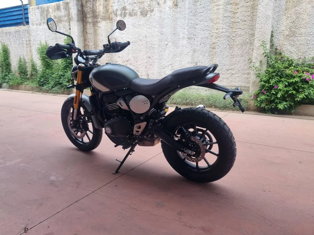 Triumph Scrambler 400 X (2024 - 26) (5)