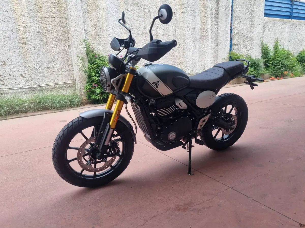 Triumph Scrambler 400 X (2024 - 26) (6)