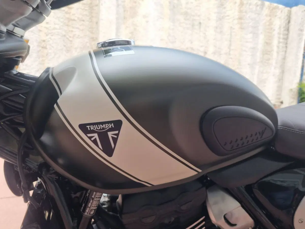 Triumph Scrambler 400 X (2024 - 26) (9)