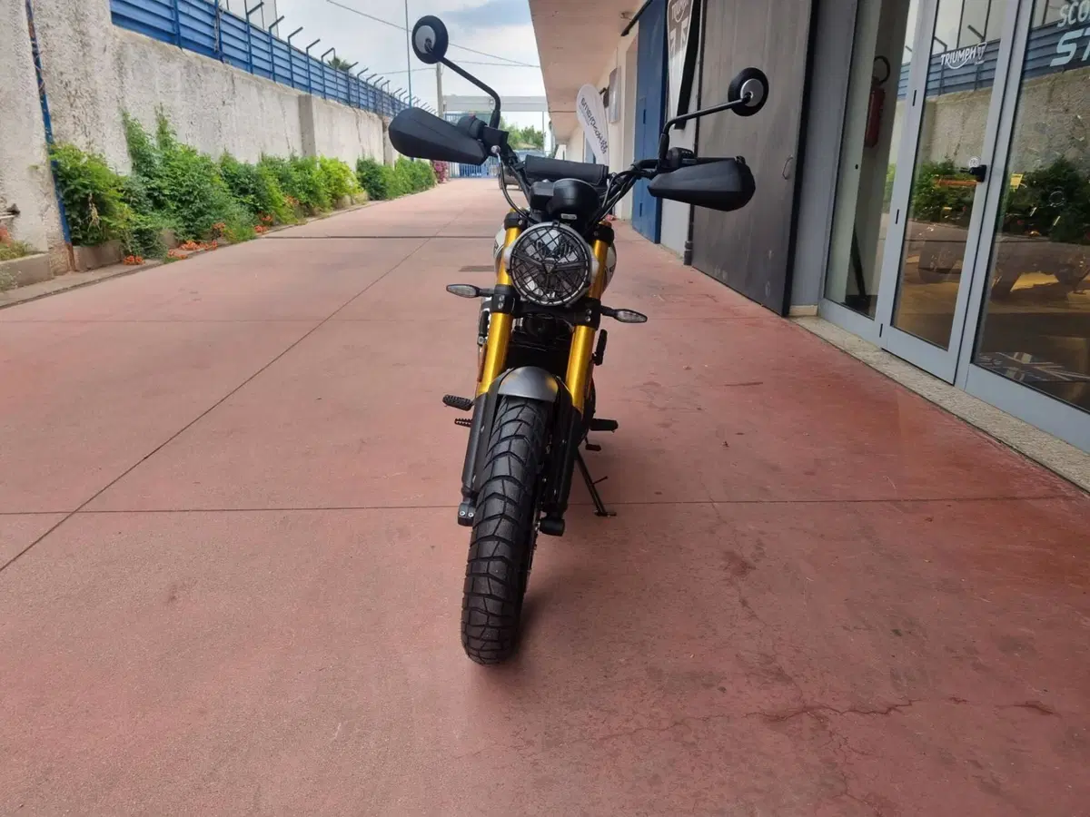 Triumph Scrambler 400 X (2024 - 26) (10)