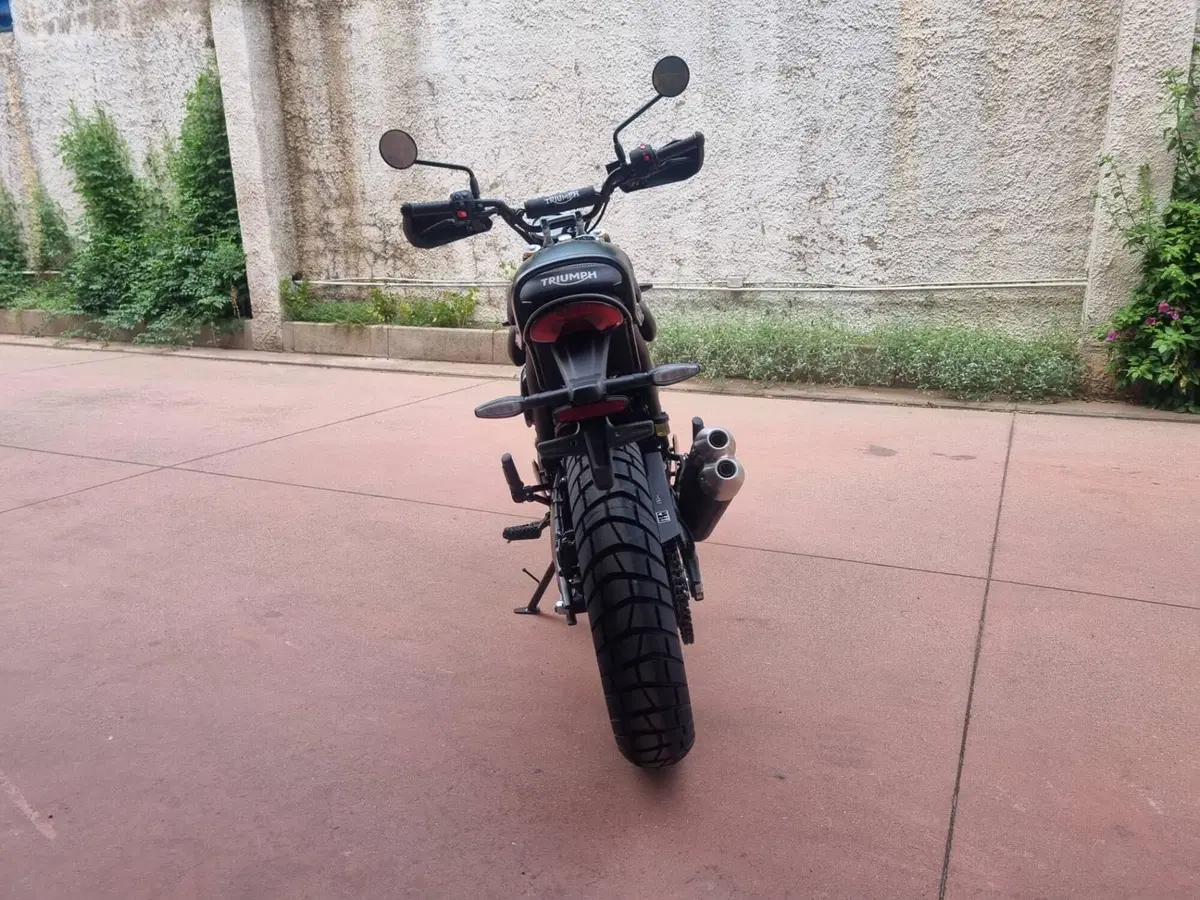 Triumph Scrambler 400 X (2024 - 26) (11)