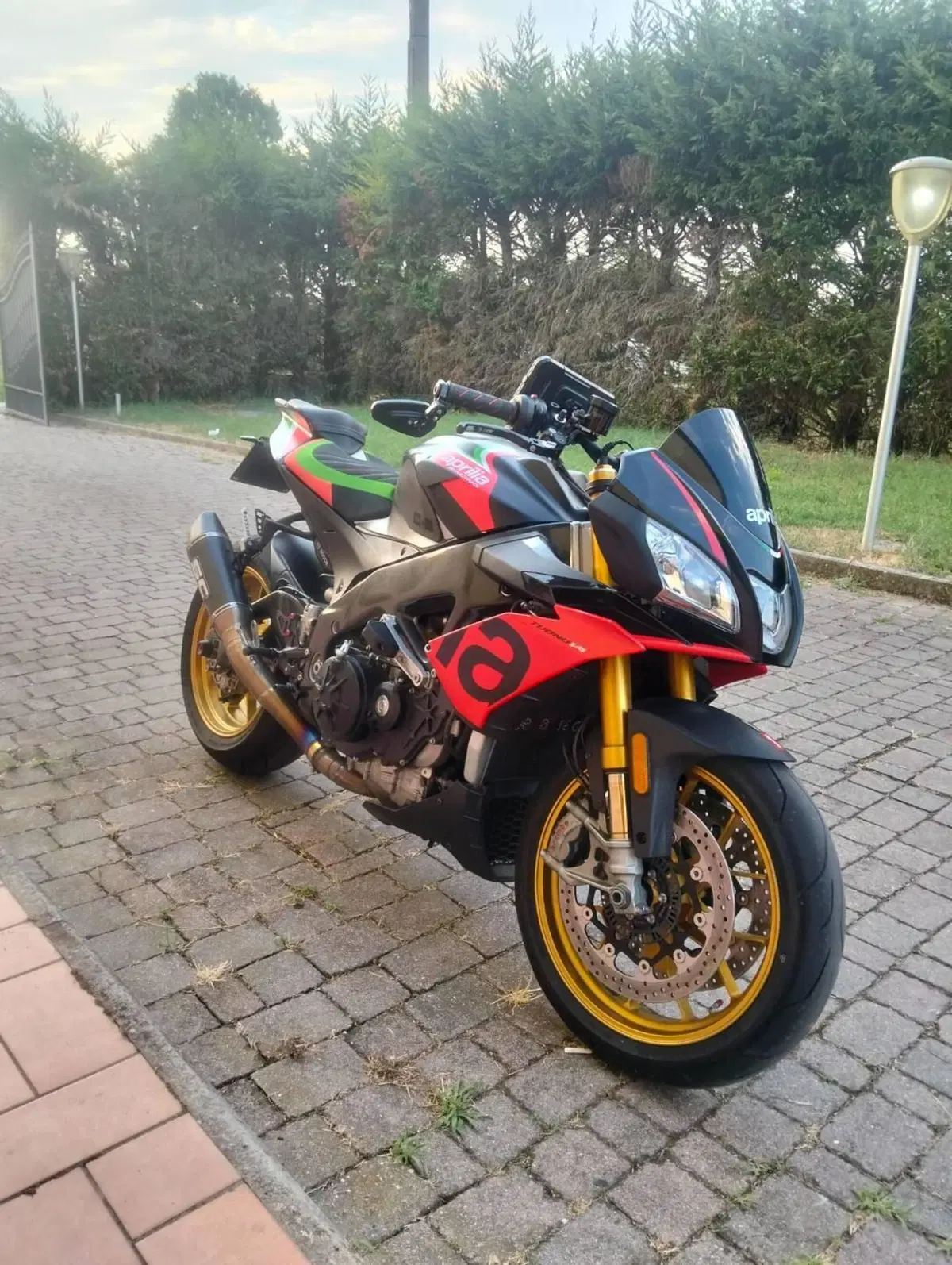 Aprilia Tuono V4 Factory (2019 - 20) (3)