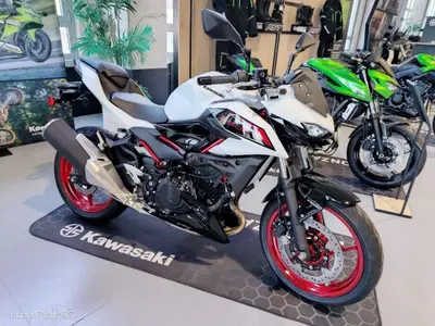 Kawasaki Z 500 SE (2024 - 26) nuova
