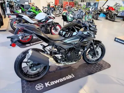 Kawasaki Z 500 (2024 - 26) nuova