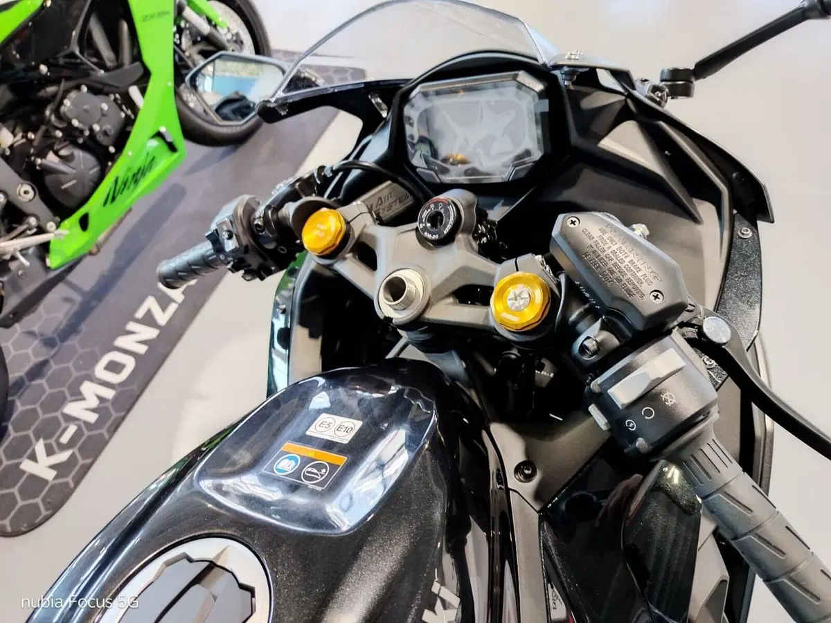 Kawasaki Ninja ZX-4RR (2024 - 26) (3)