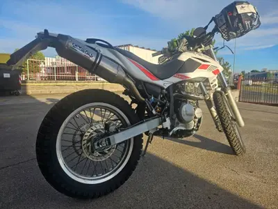 Betamotor Alp 4.0 (2008 - 17) usata