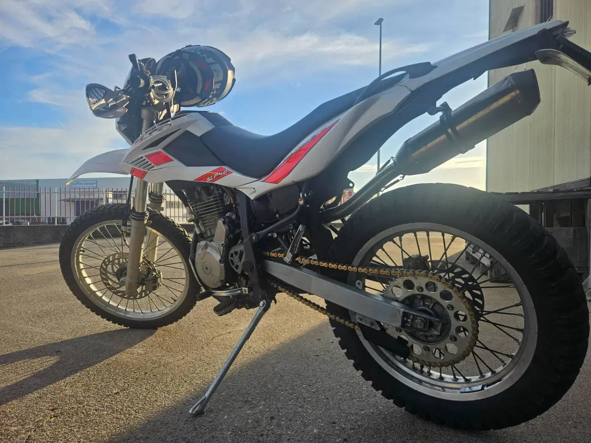Betamotor Alp 4.0 (2008 - 17) (2)