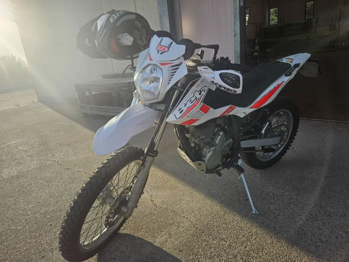 Betamotor Alp 4.0 (2008 - 17) (3)