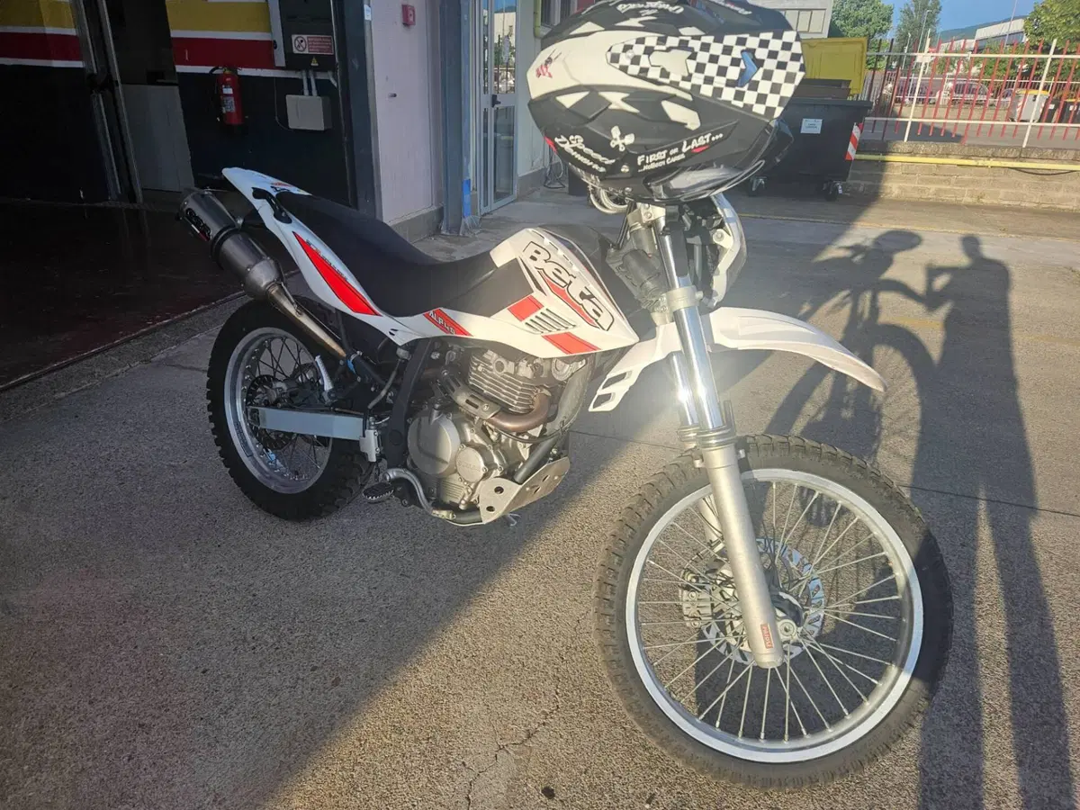 Betamotor Alp 4.0 (2008 - 17) (4)