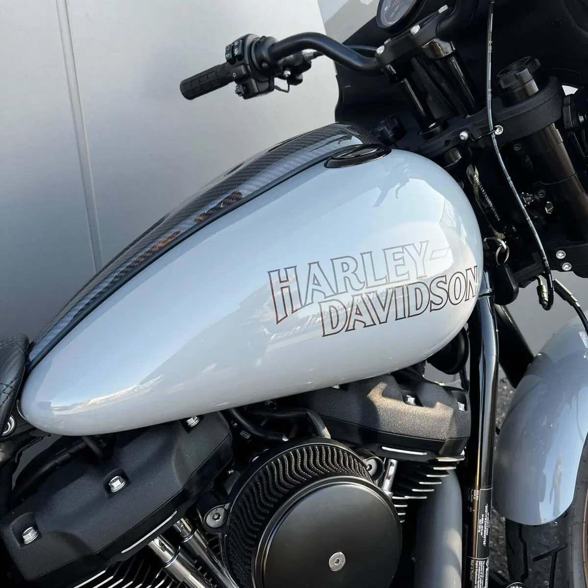 Harley-Davidson Low Rider S (2022 - 24) (3)
