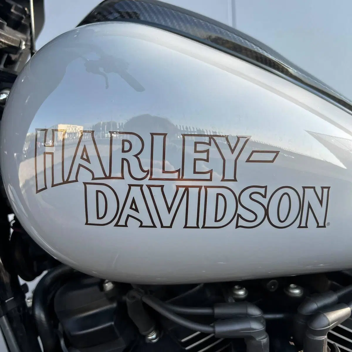 Harley-Davidson Low Rider S (2022 - 24) (19)