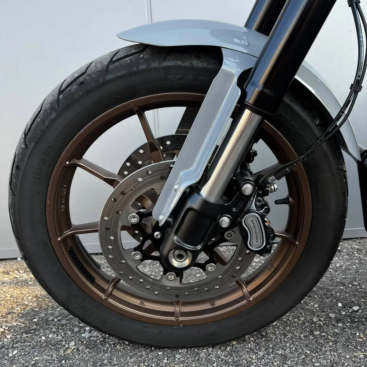 Harley-Davidson Low Rider S (2022 - 24) (25)