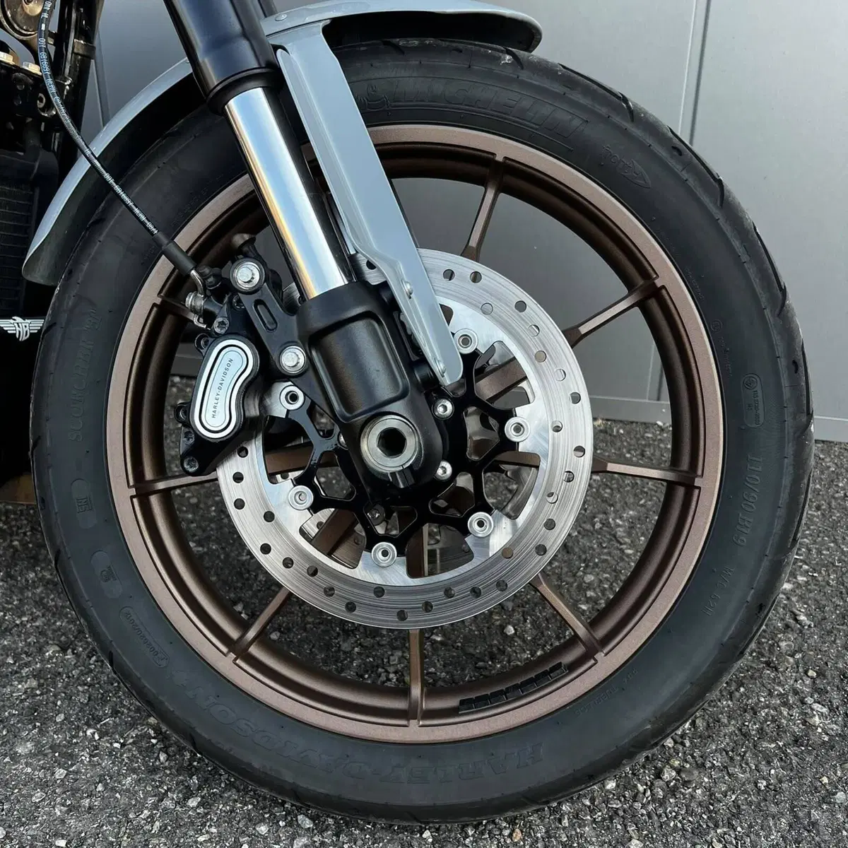 Harley-Davidson Low Rider S (2022 - 24) (15)