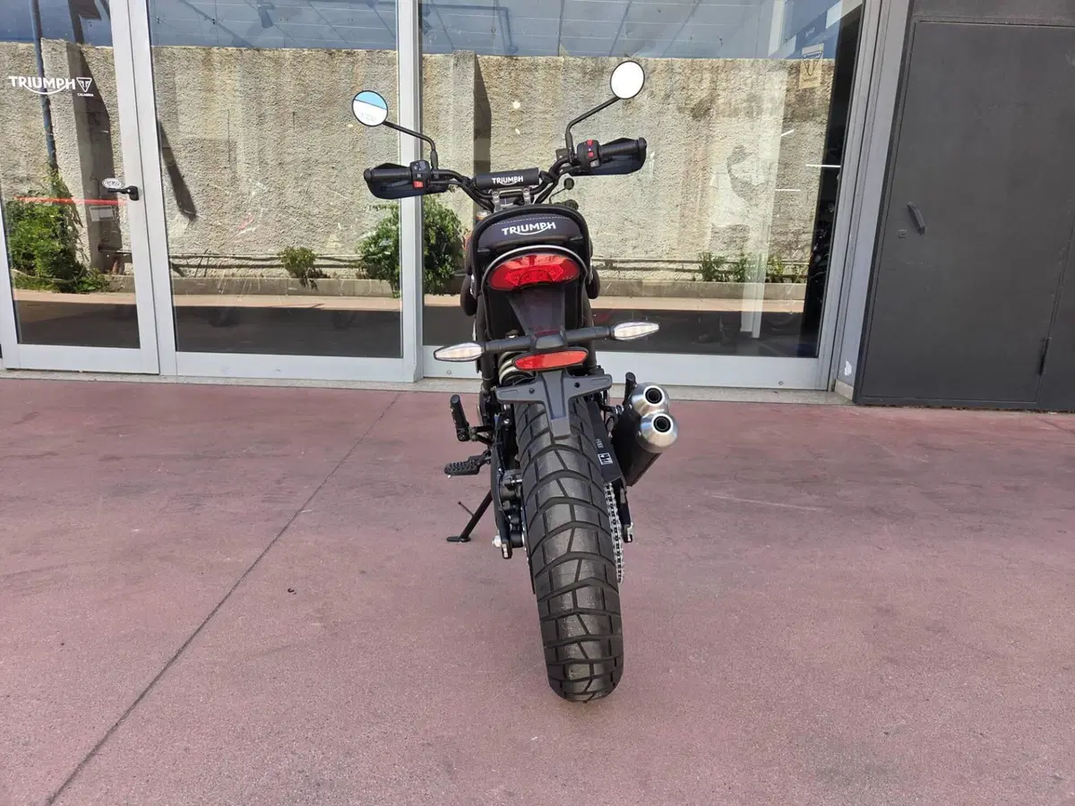 Triumph Scrambler 400 X (2024 - 26) (10)