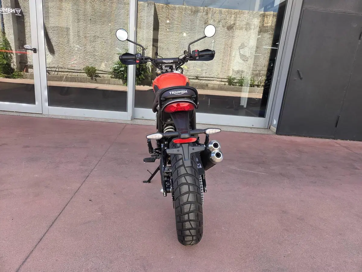 Triumph Scrambler 400 X (2024 - 26) (11)