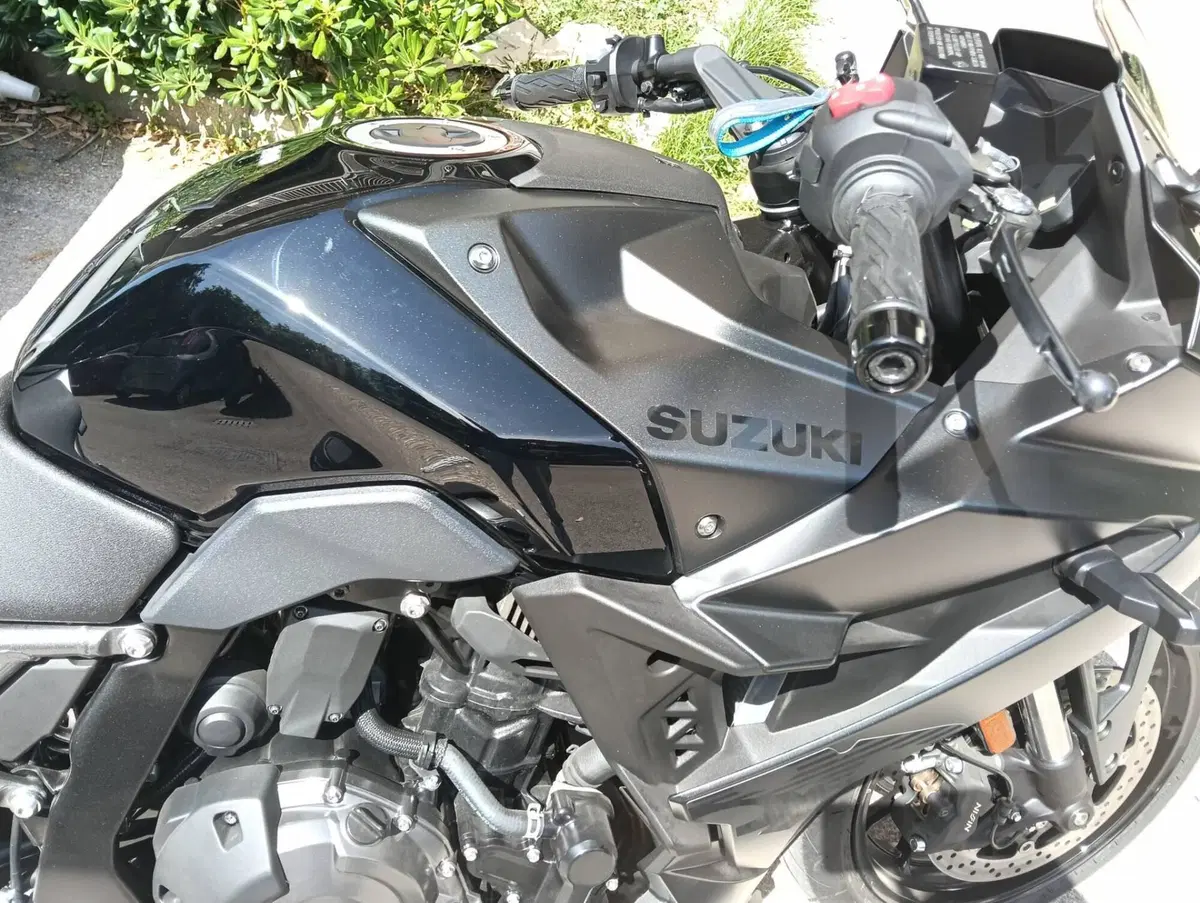 Suzuki GSX-8R EVO (2025 - 26) (6)
