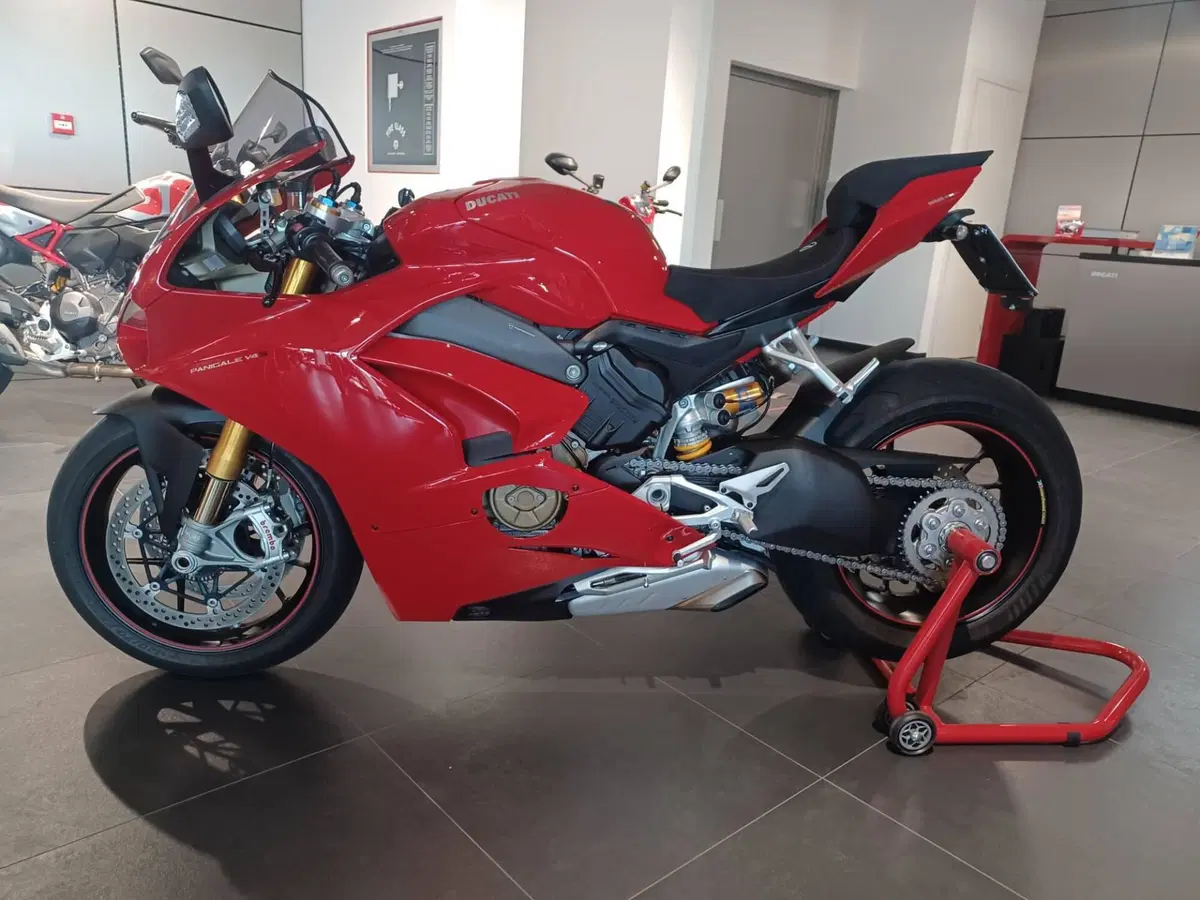 Ducati Panigale V4 S 1100 (2018 - 19) (2)