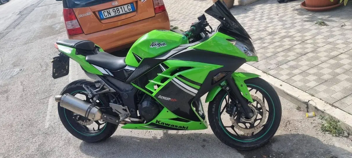 Kawasaki Ninja 300 (2012 - 14)